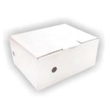 Arhīva kārba 100x270x350, balta, SMLT