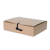 Arhīva kārba 100x235x320mm ar saitītēm, brūna,
