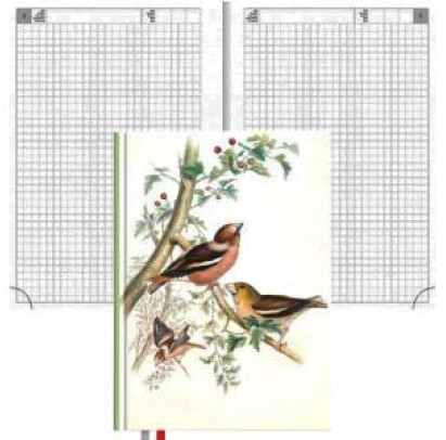Plānotājs bez datumiem TEMPO Birds, rūtiņu Timer