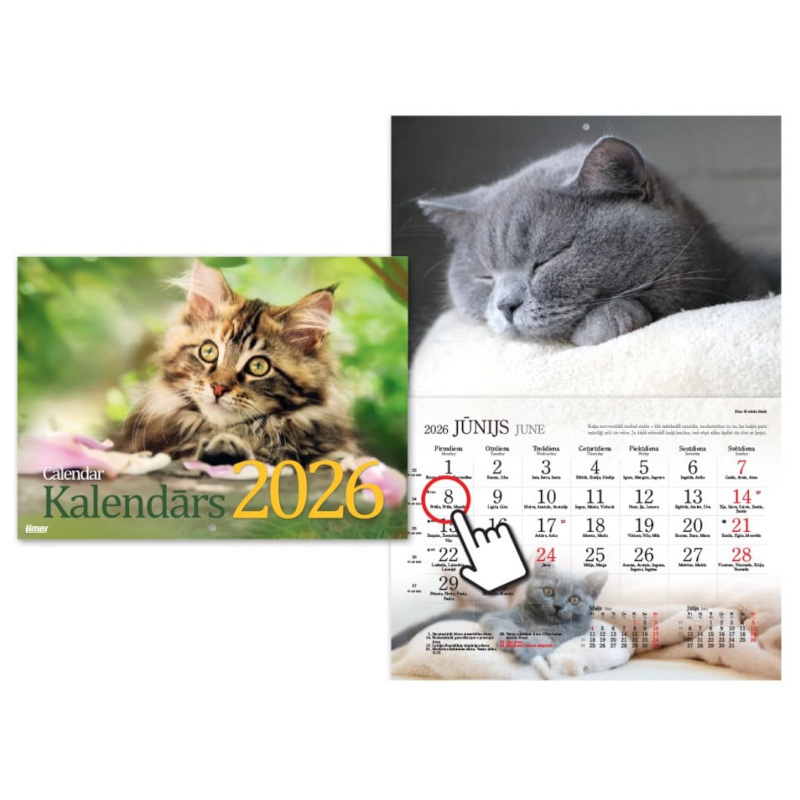 Sienas kalendārs, Kaķu kalendārs, Timer, 2026g. (TIM2315400000)