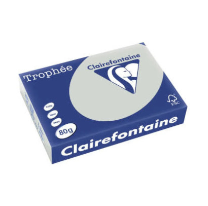 Krāsains papīrs A4, 80g/m2, 500 loksnes, gaiši pelēks, Trophee