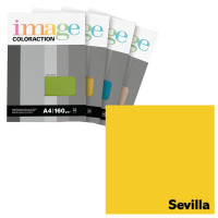 Krāsains papīrs A4, 50 loksnes, 160g/m2, rapšu dzeltena krāsa, Image Coloraction