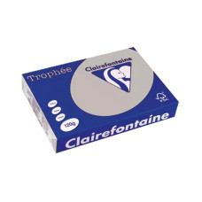 Krāsains papīrs A4, 120g/m2, 250 loksnes, gaiši pelēks, Trophee