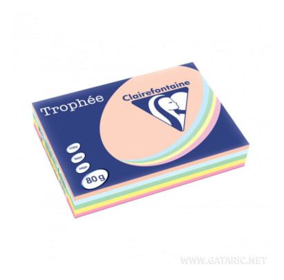 Krāsains papīrs A4, 80g/m2, 500 loksnes, 5 dažādas pasteļkrāsas, Trophee