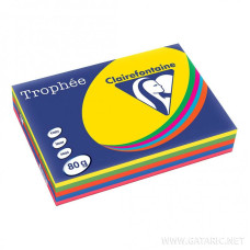 Krāsains papīrs A4, 80g/m2, 500 loksnes, 5 dažādas spilgtas krāsas, Trophee