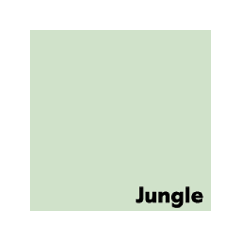 Krāsains papīrs A4, 80g/m2, 500 loksnes, Jungle/Pale Green, Image Coloraction