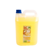 Universālais tīrīšanas līdzeklis, PANI DOMU (koncentrāts), (5L)