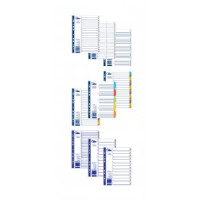 Sadalītājs dokumentiem Forpus 1-20 krāsains A4