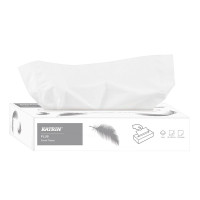 Katrin Plus Facial, kosmētiskās salvetes, 2-slāņu, 100 loksnes/kastītē, 40 kastītes/iepako